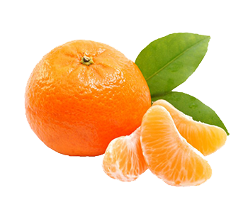 clementine calabresi
